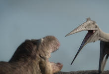 纪录片：《史前星球》第二季中文配音版来了 这个六一看这个-沐风文化