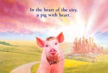 小猪宝贝2：小猪进城 1998澳大利亚喜剧 HD1080P 迅雷下载-沐风文化