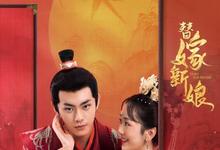 2023国剧《替嫁新娘》全集 HD1080P 迅雷下载-沐风文化