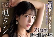 IPX-831 ２４小时监视软禁！枫カレン(枫花恋)做实验品被迫打七发！-沐风文化